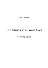 The Universe in Your Eyes